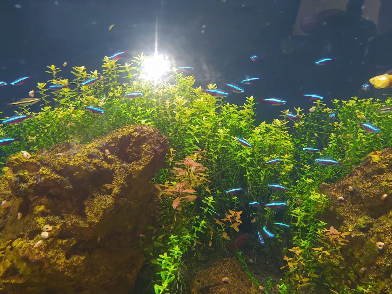 Aquário Marinho de Paranaguá